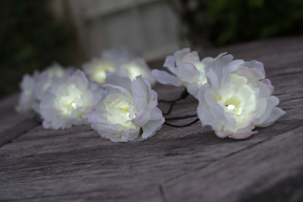 Smart Solar 10 White Roses White LEDs
