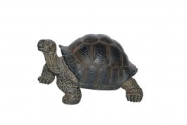 Vivid Arts Real Life Giant Tortoise - Size A | Garden Ornaments | Keen ...